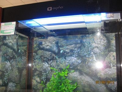 海魚缸的過濾系統（海魚缸過濾系統的工作原理）