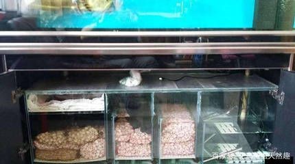 海魚缸的過濾系統（海魚缸過濾系統的工作原理）
