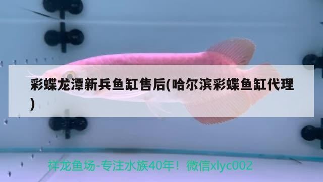 太原市迎澤區(qū)明仔魚店