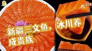 高海拔2000適合養什么魚 高海拔2000適合養什么魚 龍魚論壇 第8張