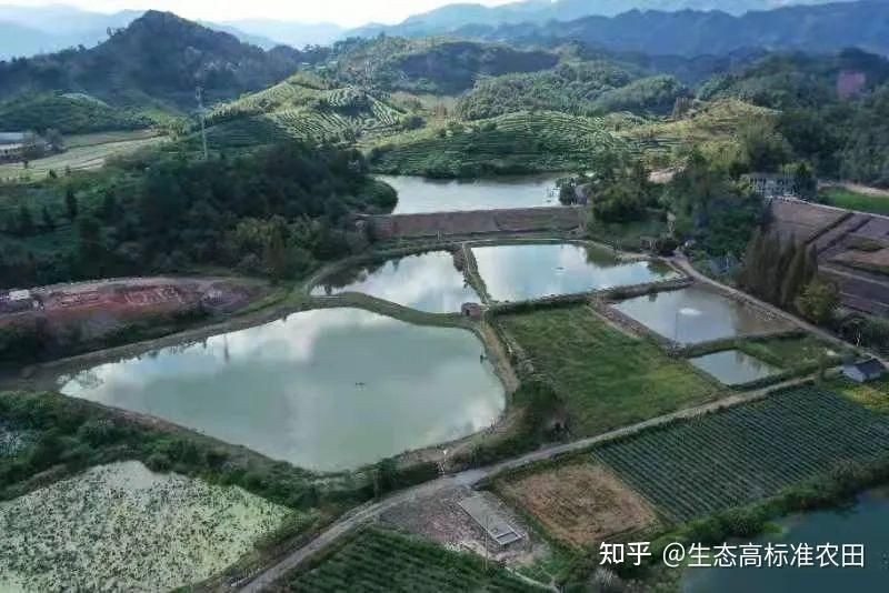 高海拔2000適合養什么魚 高海拔2000適合養什么魚 龍魚論壇 第4張