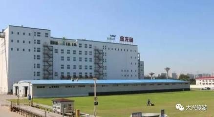 龍魚濾材哪個牌子好一點啊：如何選擇龍魚濾材