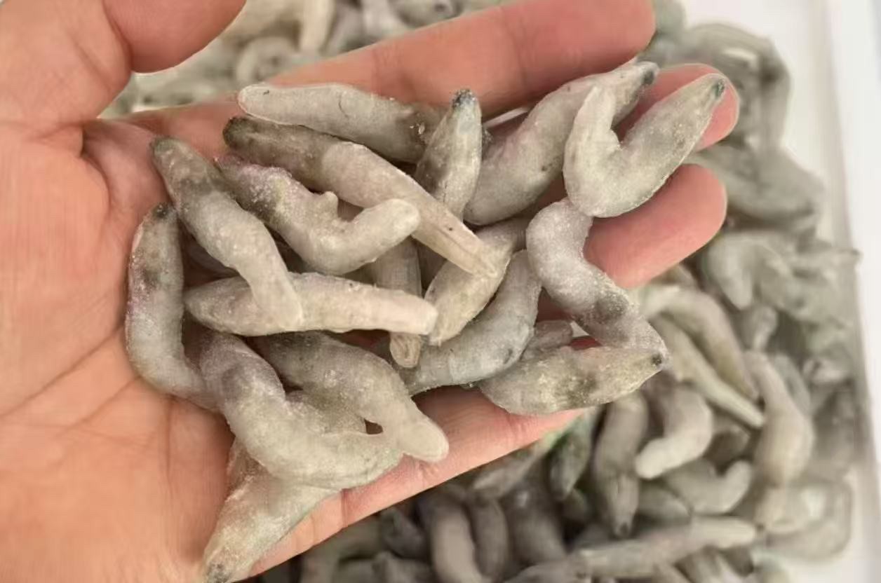 精品淡水白蝦 嘎嘎鮮 化開就能喂 去蝦槍尾刺化凍后即可投喂 性價比之王比蝦段合適多了 化開就能喂 嘎嘎新鮮 不新鮮給我退回來 5-7公分180十斤遼寧省內包郵包損 3-5公分150十斤遼寧省內包郵包損