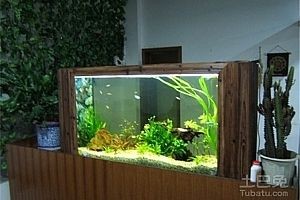 觀賞魚缸制作視頻教學：觀賞魚缸制作視頻教學：觀賞魚缸制作視頻
