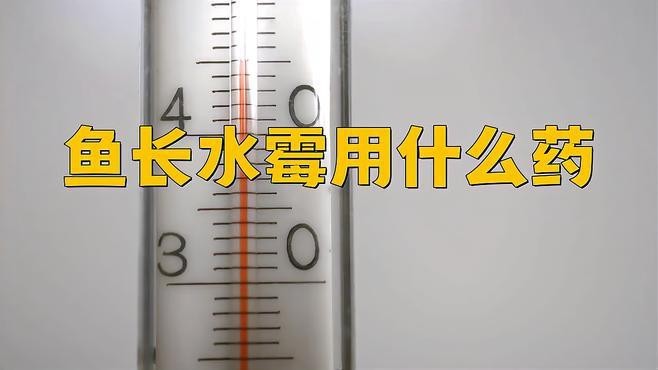 請?zhí)峁└嘀委燒堲~水霉病的藥物