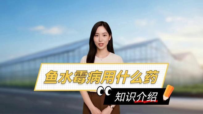 請?zhí)峁└嘀委燒堲~水霉病的藥物