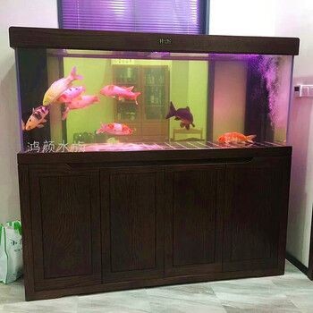 蘇州水之戀水族魚缸定制魚缸生態(tài)系統(tǒng)的構(gòu)建與維護因素：如何選擇合適的水族魚缸