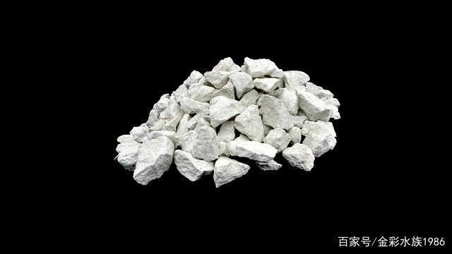 地缸魚缸過濾系統(tǒng):地缸魚缸過濾系統(tǒng)與背濾系統(tǒng)對比地缸魚缸水質(zhì)調(diào)控技巧分享 魚缸百科 第5張 地缸魚缸過濾系統(tǒng):地缸魚缸過濾系統(tǒng)與背濾系統(tǒng)對比地缸魚缸水質(zhì)調(diào)控技巧分享 地缸魚缸過濾系統(tǒng):地缸魚缸過濾系統(tǒng)與背濾系統(tǒng)對比地缸魚缸水質(zhì)調(diào)控技巧分享 魚缸百科 第5張