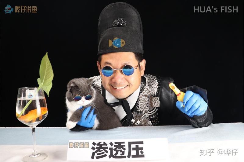 水族鹽是海鹽嗎 水族鹽是海鹽嗎 龍魚論壇 第8張
