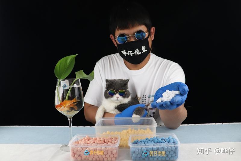 水族鹽是海鹽嗎 水族鹽是海鹽嗎 龍魚論壇 第10張