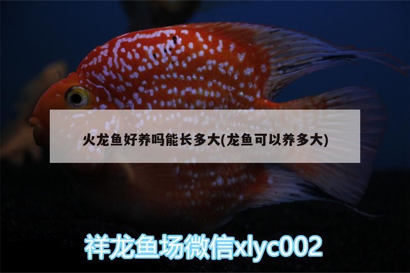 富源古敢水族鄉小胡百貨店——傳承水族文化，云南富源古敢水族鄉小胡百貨店——傳承水族文化