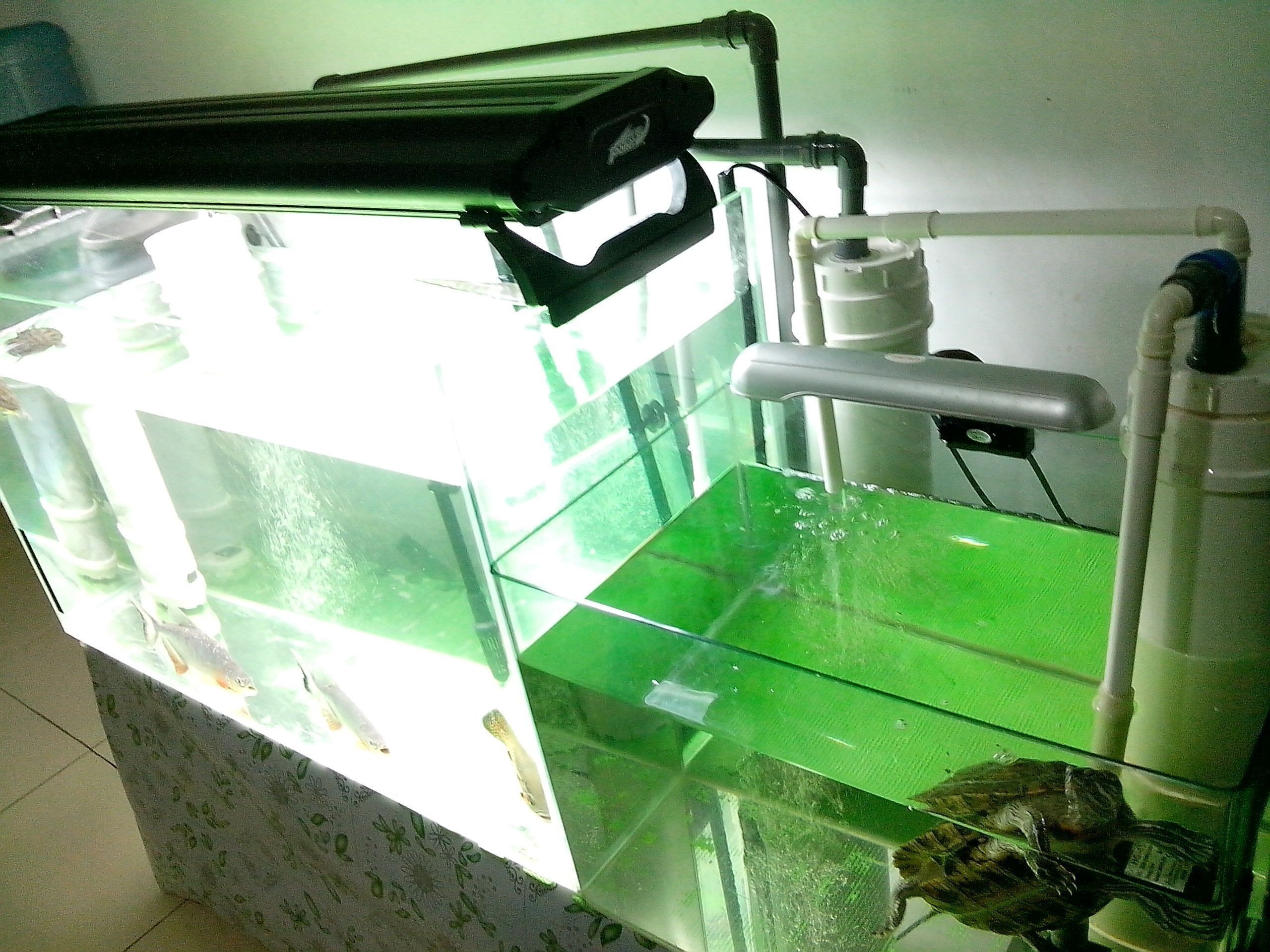 海利亞魚缸過濾器怎么安裝視頻,魚缸過濾器安裝教程:海利亞魚缸過濾器安裝教程 魚缸百科 第4張 海利亞魚缸過濾器怎么安裝視頻,魚缸過濾器安裝教程:海利亞魚缸過濾器安裝教程 海利亞魚缸過濾器怎么安裝視頻,魚缸過濾器安裝教程:海利亞魚缸過濾器安裝教程 魚缸百科 第4張