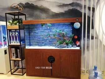 魚缸水放滿好看一些嗎（魚缸放的水太滿會(huì)缺氧嗎）（魚缸水放滿好看一些,魚缸水放滿好看一些魚缸水放滿好看一些嗎）