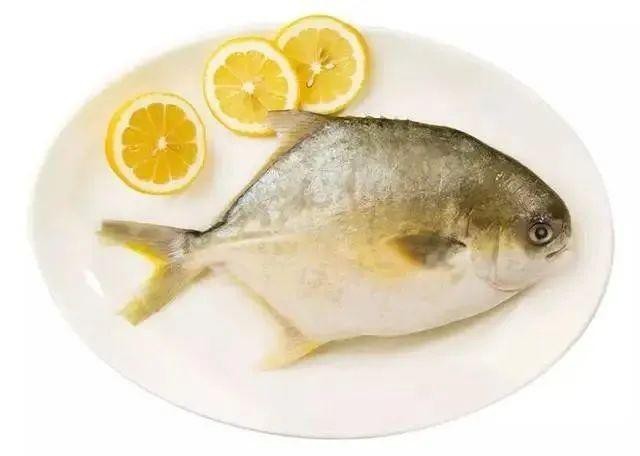 淡水金鯧魚