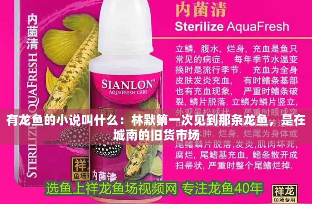 有龍魚的小說叫什么：林默第一次見到那條龍魚，是在城南的舊貨市場