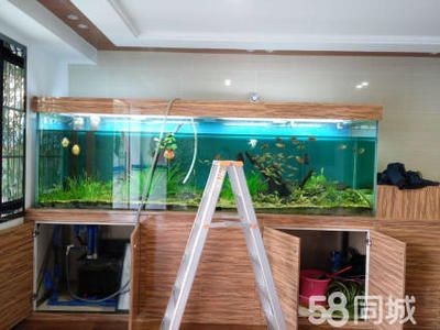 撫州龍魚專賣店（關于撫州龍魚專賣店的疑問）