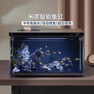 撫州龍魚專賣店（關于撫州龍魚專賣店的疑問）