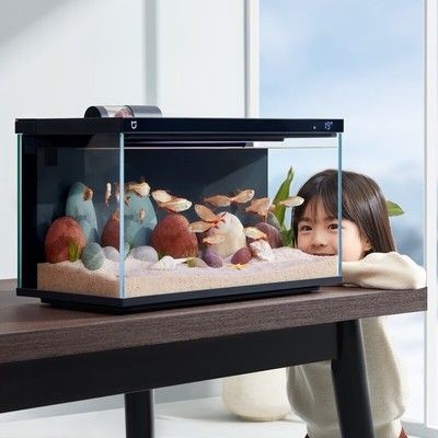 小米小佩魚缸（小米小佩魚缸價格對比小米小佩魚缸價格對比）