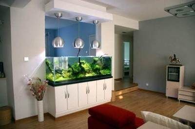 養魚風水分析：養魚不僅可以增添居家活力，還能改善風水，帶來好運