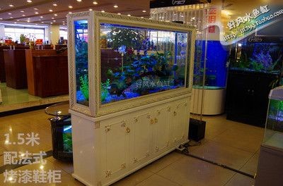 呼和浩特市（簡稱呼市）哪個地方的魚缸既便宜又好用：呼和浩特哪里的魚缸便宜又好用？