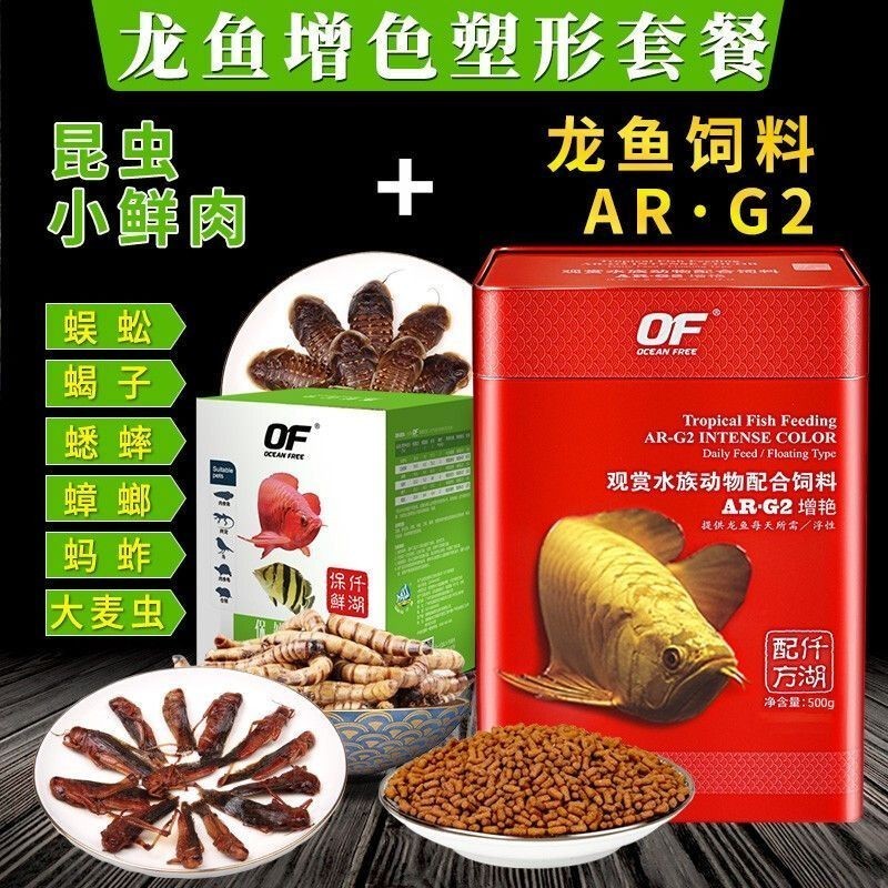 金龍魚吃螞蚱好嗎怎么喂養：金龍魚可以喂食螞蚱嗎