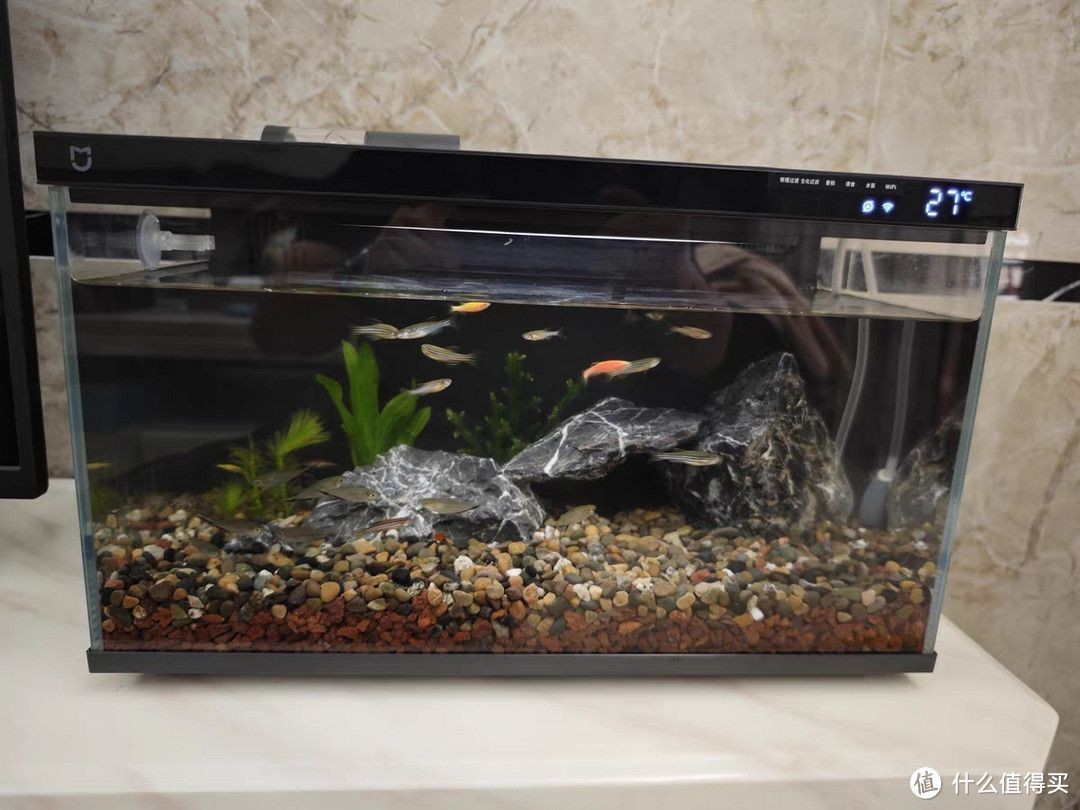 一品瀾合魚缸聲音大不大：一品瀾合魚缸噪音大不大 一品瀾合魚缸聲音大不大：一品瀾合魚缸噪音大不大 魚缸百科 第5張