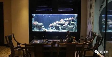 一品瀾合魚缸聲音大不大：一品瀾合魚缸噪音大不大 一品瀾合魚缸聲音大不大：一品瀾合魚缸噪音大不大 魚缸百科 第3張