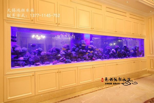 大型魚缸生產廠家：亞克力魚缸與玻璃魚缸對比大型魚缸維護保養指南