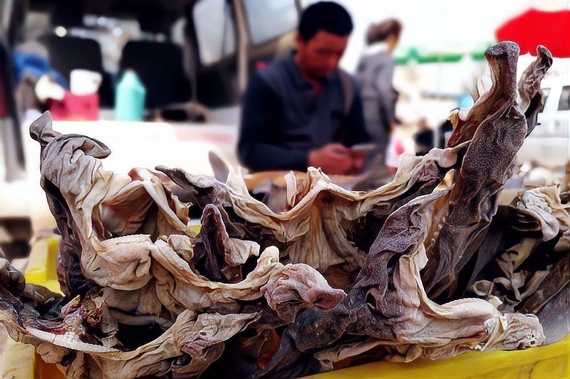 鯊魚一般多少錢一斤