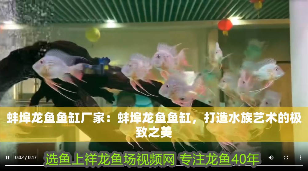 蚌埠龍魚魚缸廠家：蚌埠龍魚魚缸，打造水族藝術的極致之美