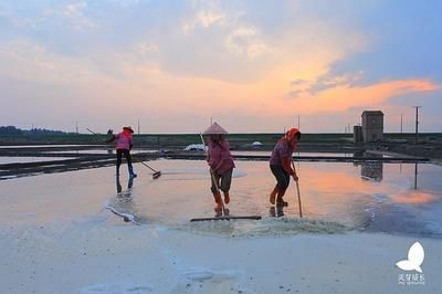 蚌埠龍魚魚缸廠家：蚌埠龍魚魚缸，打造水族藝術的極致之美