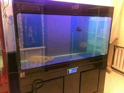 魚缸維修收費價目表圖片（無錫鴻顏水族提供魚缸維修收費價目表魚缸維修收費價目表）
