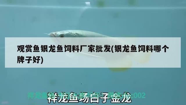 銀版魚飼料品牌比較：水產(chǎn)飼料品牌好評率 銀版魚飼料品牌比較：水產(chǎn)飼料品牌好評率 龍魚百科 第1張