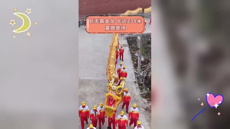金龍最大可以長到多大