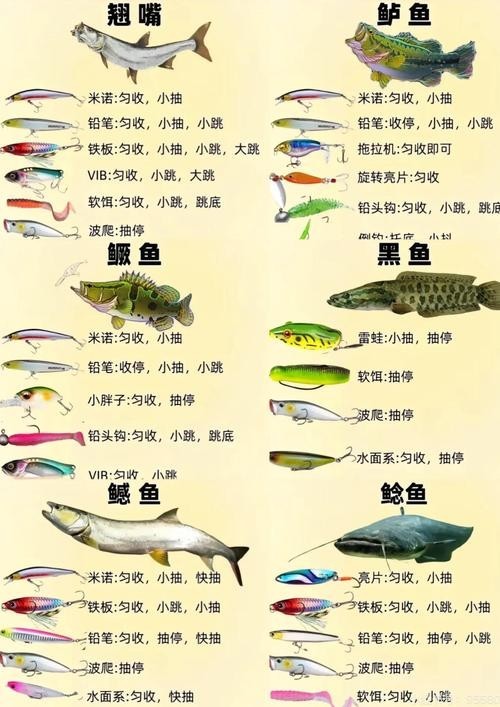 銀龍魚苗喂什么最好養(yǎng)護(hù)
