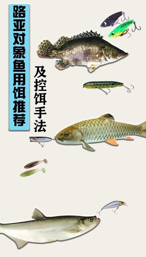 銀龍魚苗喂什么最好養(yǎng)護(hù)