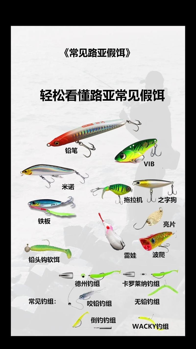 銀龍魚苗喂什么最好養(yǎng)護(hù)