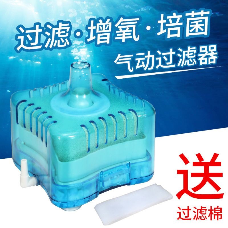 魚缸里的氧氣泵怎么安裝視頻（魚缸氧氣泵的基本安裝步驟和注意事項）