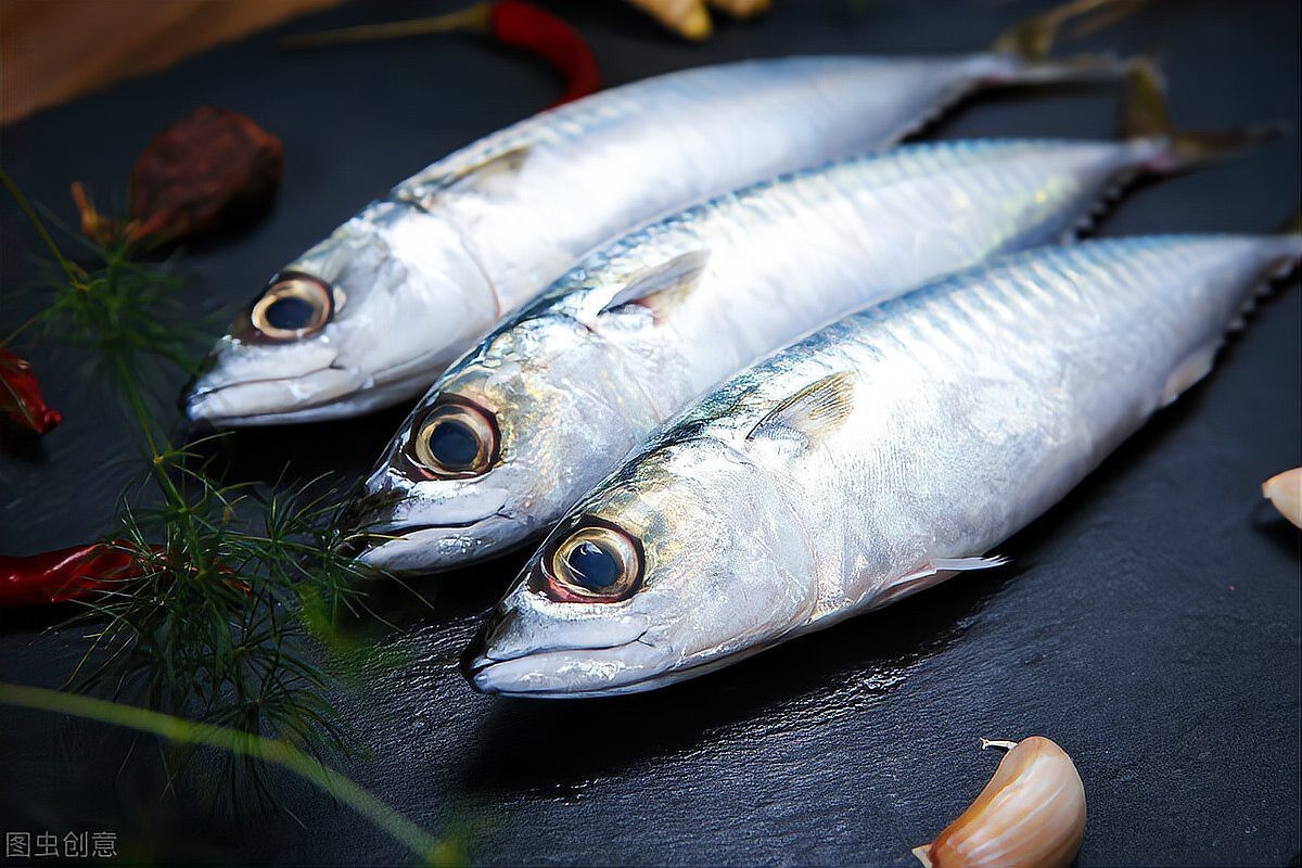 青花魚(yú)在國(guó)內(nèi)叫什么魚(yú) 青花魚(yú)在國(guó)內(nèi)叫什么魚(yú) 龍魚(yú)論壇 第2張