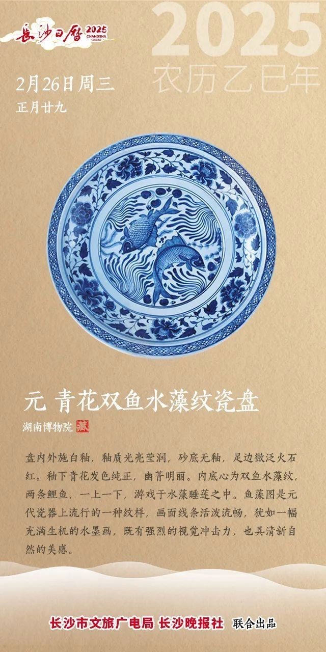 青花魚(yú)在國(guó)內(nèi)叫什么魚(yú) 青花魚(yú)在國(guó)內(nèi)叫什么魚(yú) 龍魚(yú)論壇 第8張