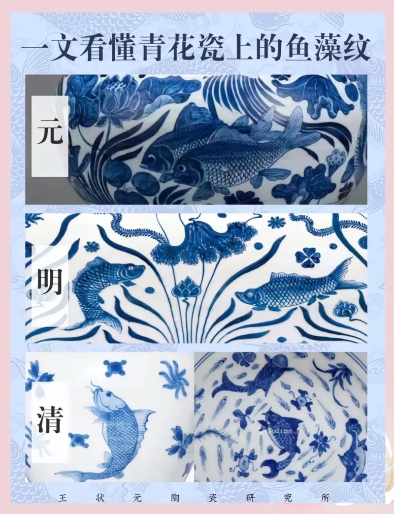 青花魚(yú)在國(guó)內(nèi)叫什么魚(yú) 青花魚(yú)在國(guó)內(nèi)叫什么魚(yú) 龍魚(yú)論壇 第7張