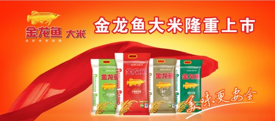 鄭州市金水區鑲金觀賞魚店 鄭州市金水區鑲金觀賞魚店 全國水族館企業名錄