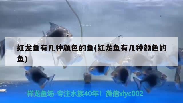 雙灤區(qū)敏姐鮮花店 雙灤區(qū)敏姐鮮花店 全國水族館企業(yè)名錄 第1張