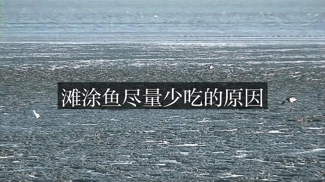 彈涂魚(yú)為何盡量少吃