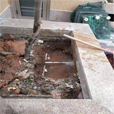 魚缸漏水怎么處理：魚缸漏水可能會(huì)影響觀賞魚造成影響觀賞魚造成的重要手段 魚缸漏水怎么處理：魚缸漏水可能會(huì)影響觀賞魚造成影響觀賞魚造成的重要手段 魚缸百科 第2張