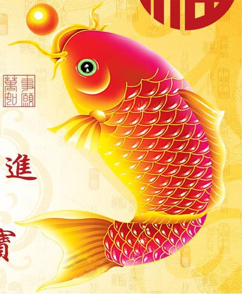 福字魚圖片 龍魚論壇 第9張 福字魚圖片 福字魚圖片 龍魚論壇 第9張
