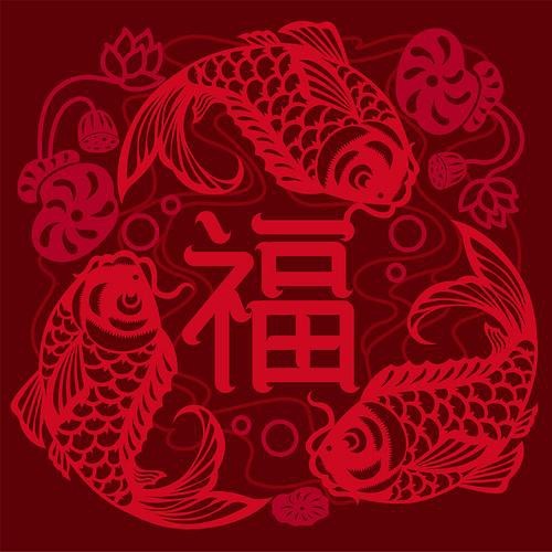 福字魚圖片 龍魚論壇 第24張 福字魚圖片 福字魚圖片 龍魚論壇 第24張