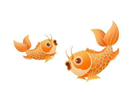 福字魚圖片 福字魚圖片 龍魚論壇 第30張