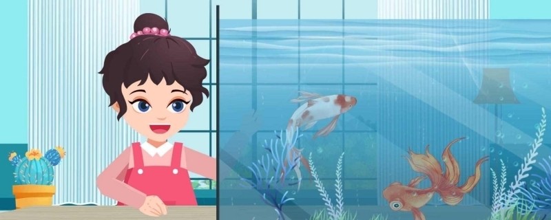 十大頂級進(jìn)口魚缸品牌