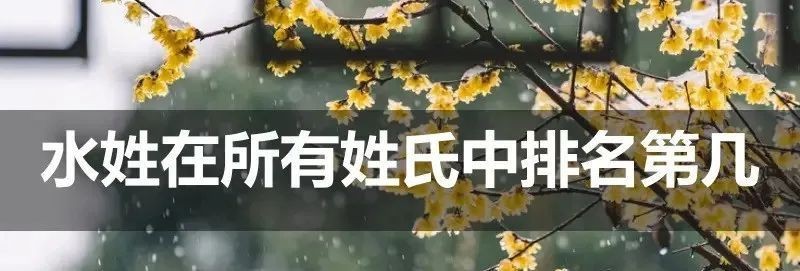 解決底濾魚缸魚糞便吸不走的方法：如何解決底濾魚缸魚糞便吸不走 解決底濾魚缸魚糞便吸不走的方法：如何解決底濾魚缸魚糞便吸不走 魚缸百科 第4張